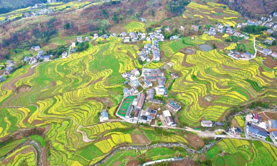 凤堰金色梯田迎客来 农文旅融合促振兴