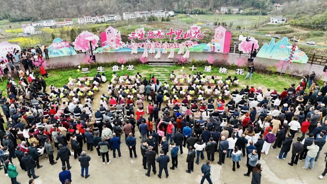 “三秦踏青 首选汉阴”2026年春季油菜花旅游季暨盘龙桃花文化旅游周活动启动