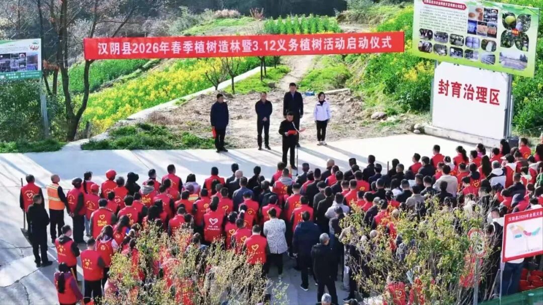 绿满汉阴春意动 且以新绿向未来