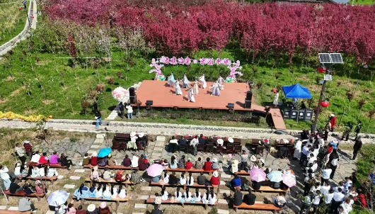 汉阴县平梁镇第二届“春晓海棠 乐游平梁”主题活动拉开“春日序曲”