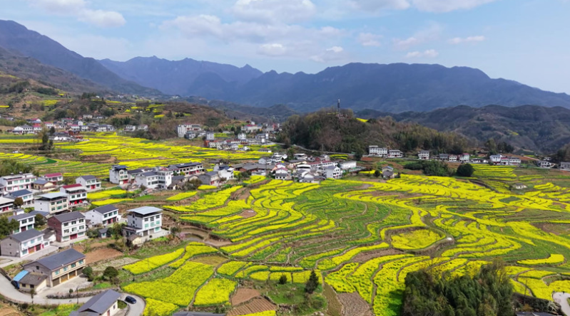 全国梯田的“汉阴集结”与农耕文明的现代守护