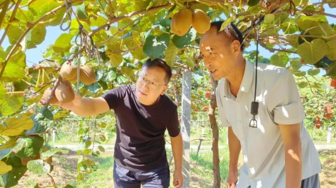 汉阴：秦巴山区“兴农记”