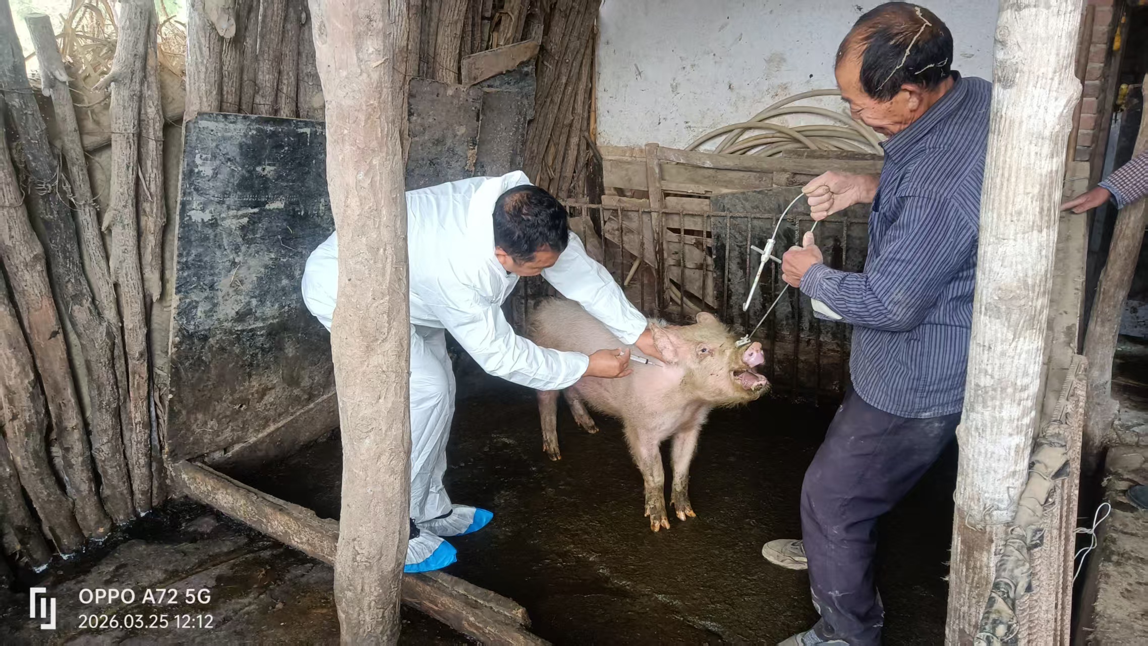 汉阳镇：筑牢安全防线  护航畜牧发展