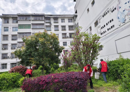 双乳镇：扮靓社区环境 守护河道清流