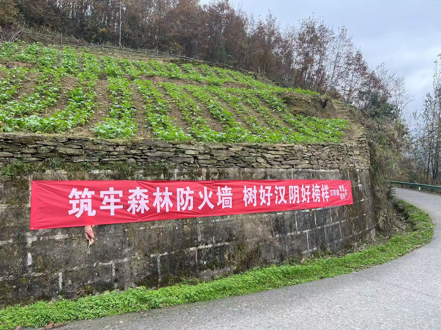 汉阳镇：清明护林守平安 宣传排查筑防线