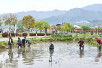 汉阴县双乳镇春耕荷塘种廉心