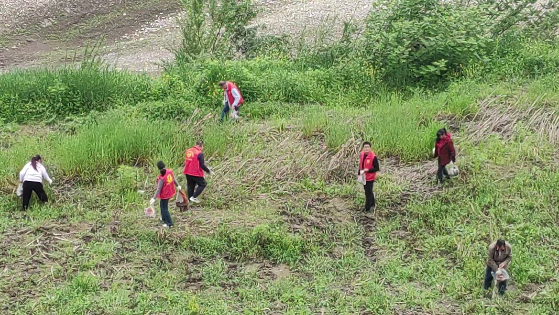 汉阳镇天池村：聚力河道整治 筑牢生态屏障