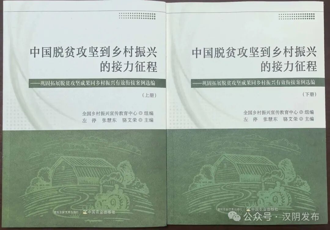 汉阴县第一书记“组团服务”入选全国典型案例