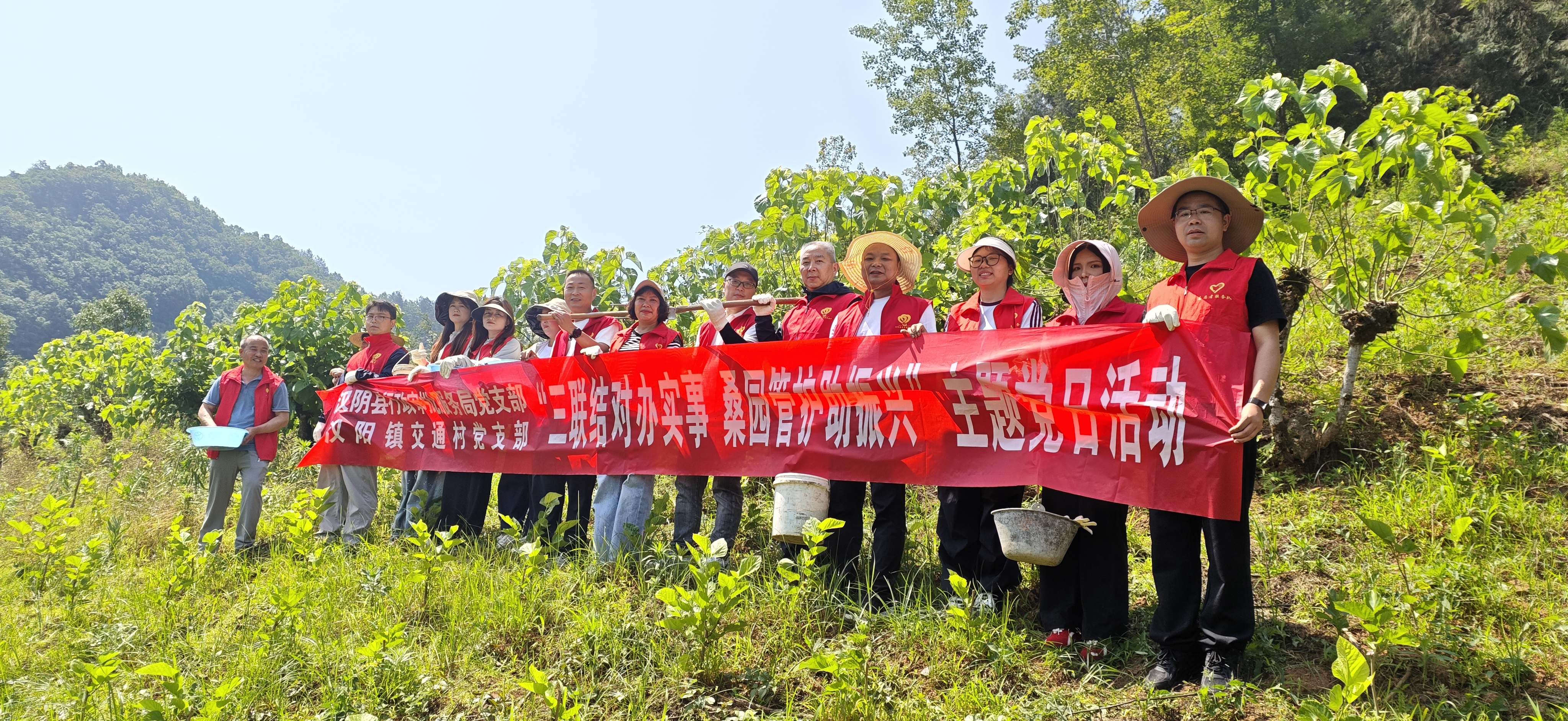 汉阴县行政审批服务局联合汉阳镇交通村开展“三联结对办实事 桑园管护助振兴”主题党日活动