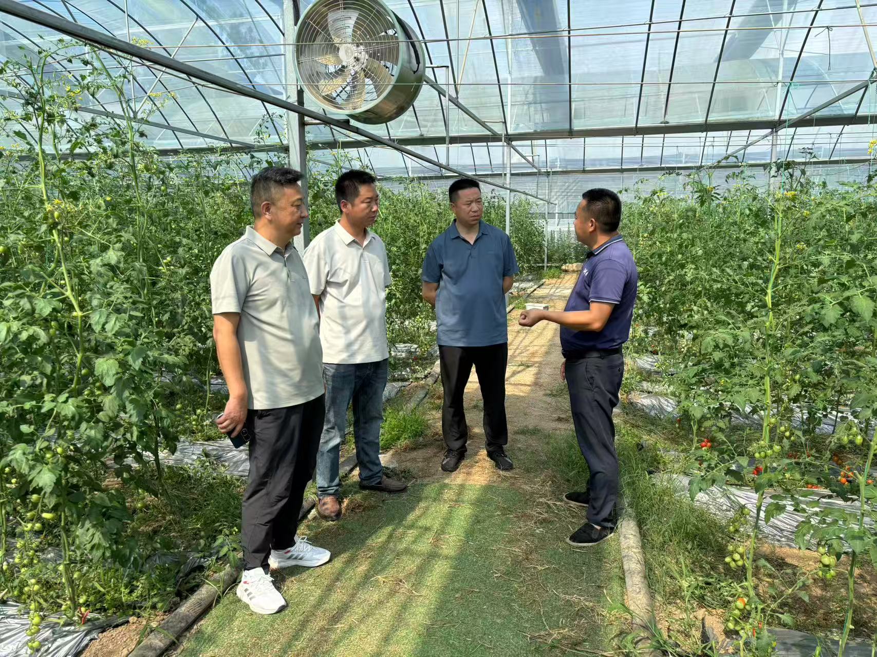 结对共建取真经 互学互鉴促振兴