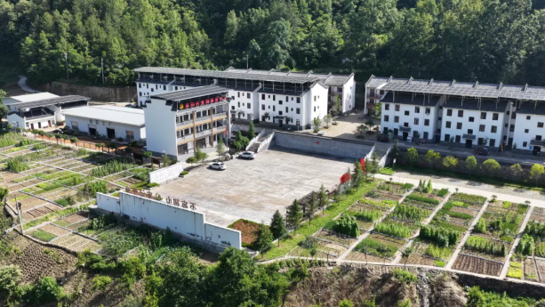【“千万工程”看汉阴】方寸菜园解民忧 搬迁群众的“小确幸”里藏着大民生