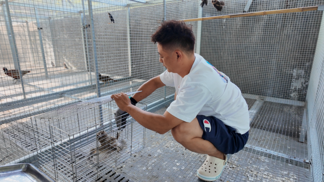 汉阴县集中放归康复野生动物