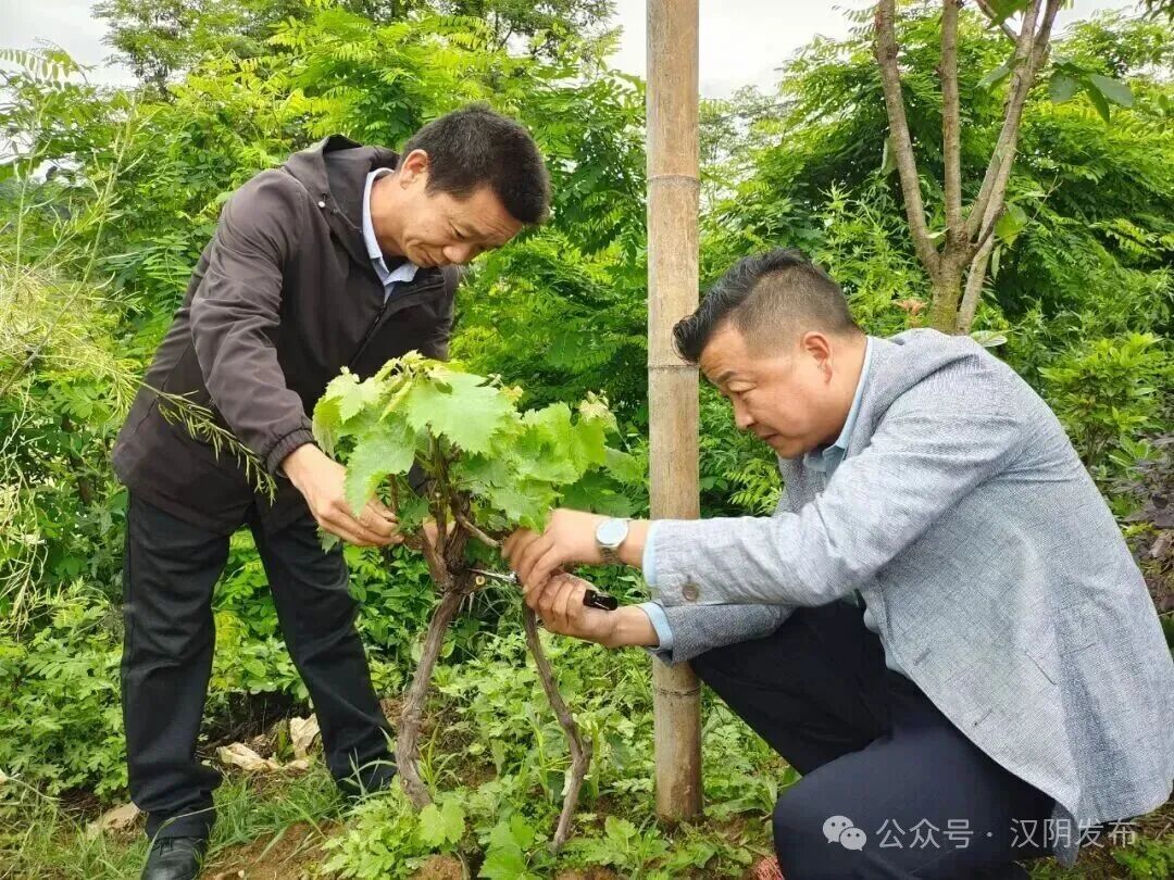 汉阴：“兵支书”的奋斗日记