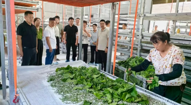 汉阴县双河口镇召开蚕桑产业发展推进会