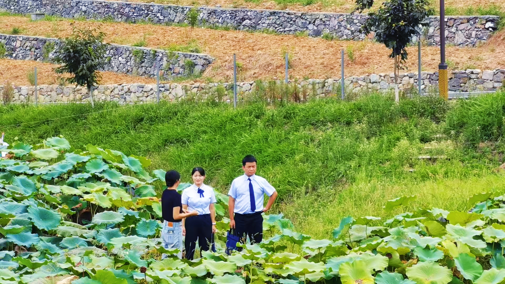 让涉农主体“信”有所贷！陕西农信汉阴农商银行绘就数字惠农新画卷