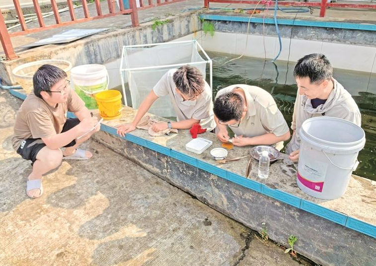 汉阴县与西北农林科技大学共建桃花鱼科技小院，以科技创新驱动特色渔业转型升级——把实验室建在鱼塘边