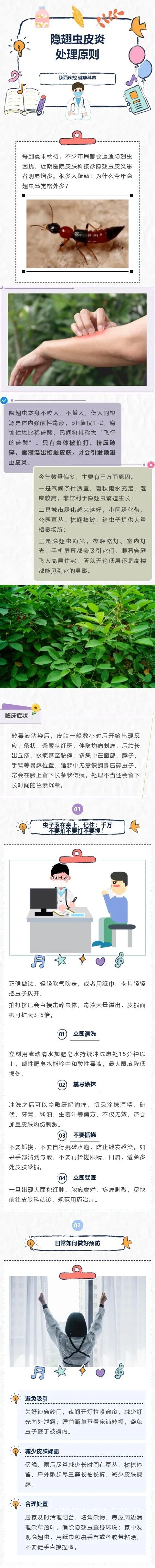 今年隐翅虫为何频发？避免中招注意“三不要”