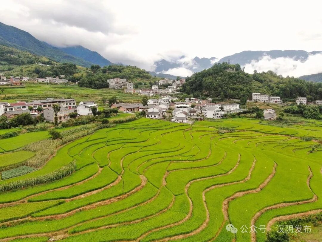 汉阴凤堰梯田走出世遗保护与富民增收双赢路——文旅花开出新彩