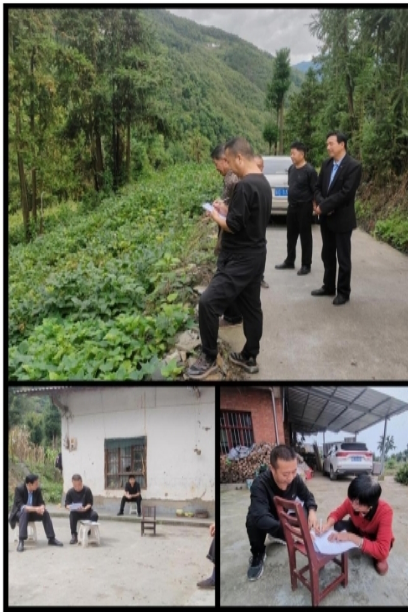 蚕室新建铺就增收路 土地流转跑出加速度