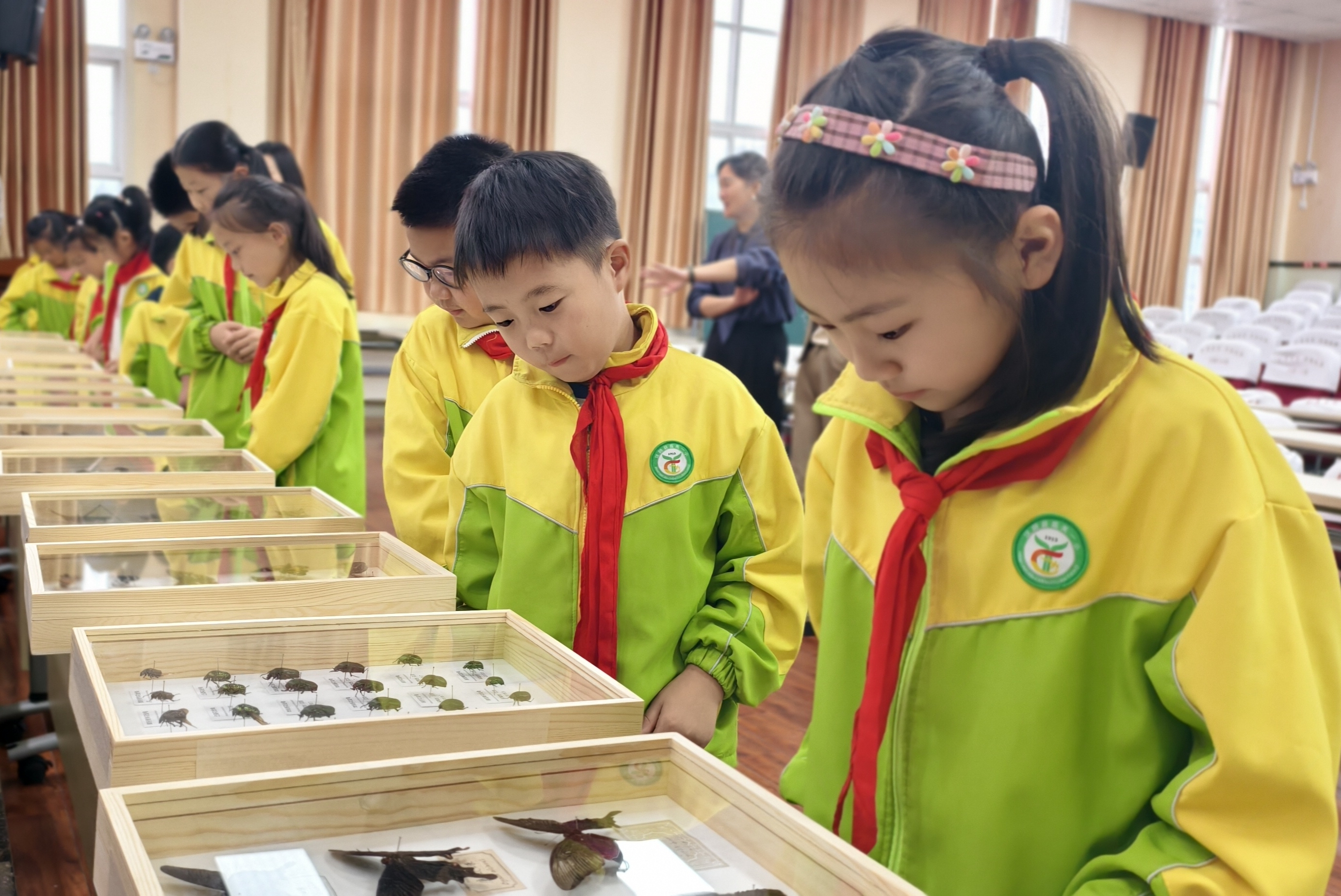 汉阴县第一小学“家长进课堂”共探奇妙昆虫世界