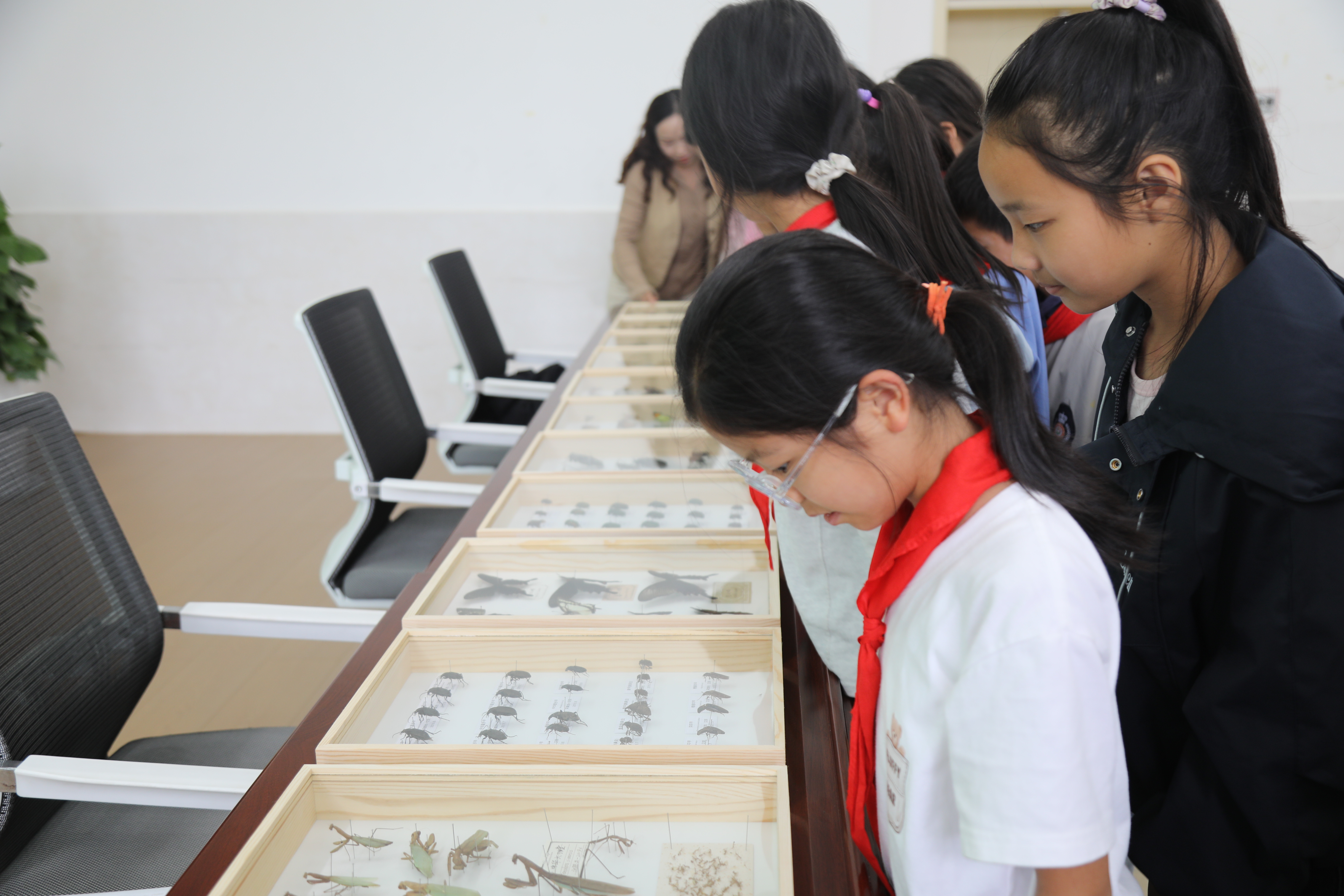 汉阴县第四小学开展昆虫自然科普讲座