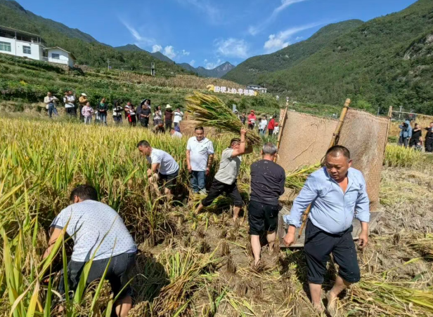 拔河比赛拔出欢乐新高度