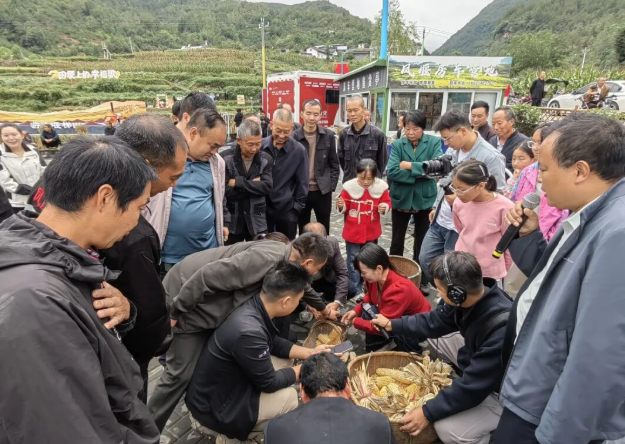 梯田丰收活动热度不减，趣味赛事点亮国庆！